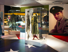 Elvis Do More image.jpg